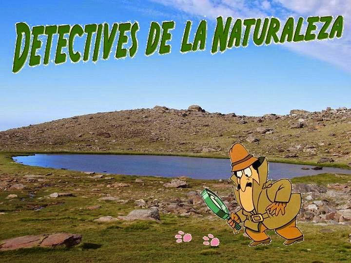 Detectives de la Naturaleza