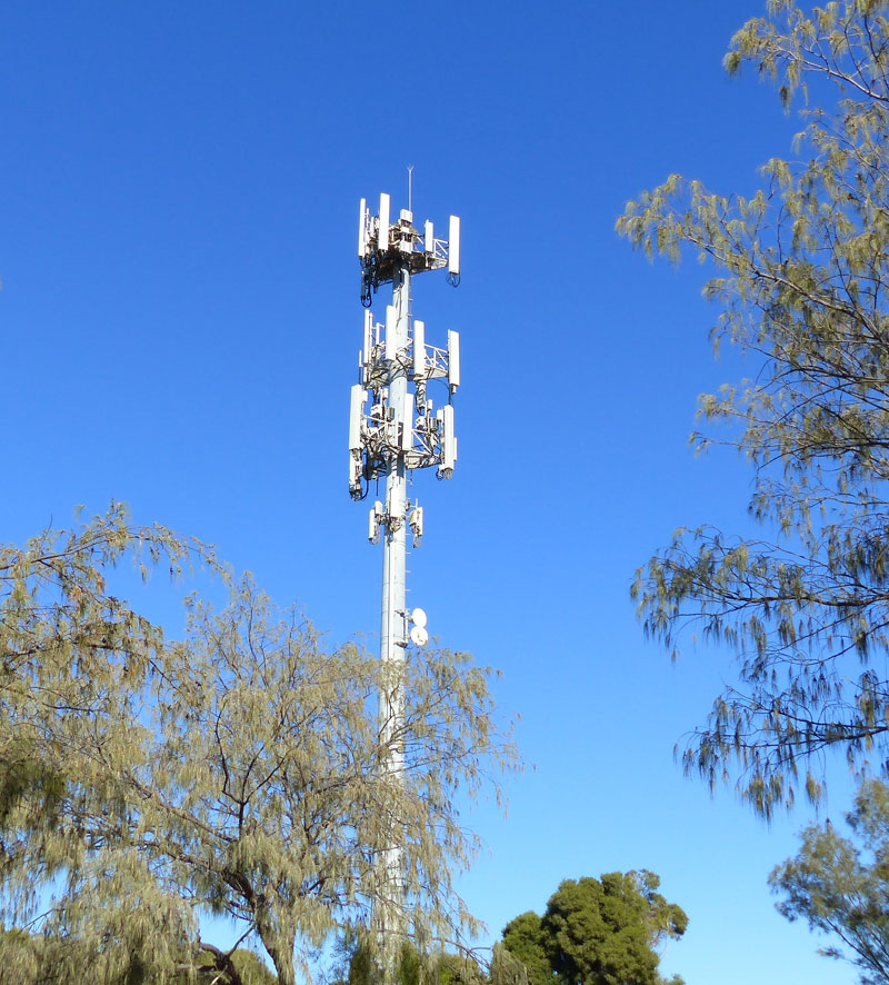 A Perth Bird Diary Osprey nests around Perth and the Swan River