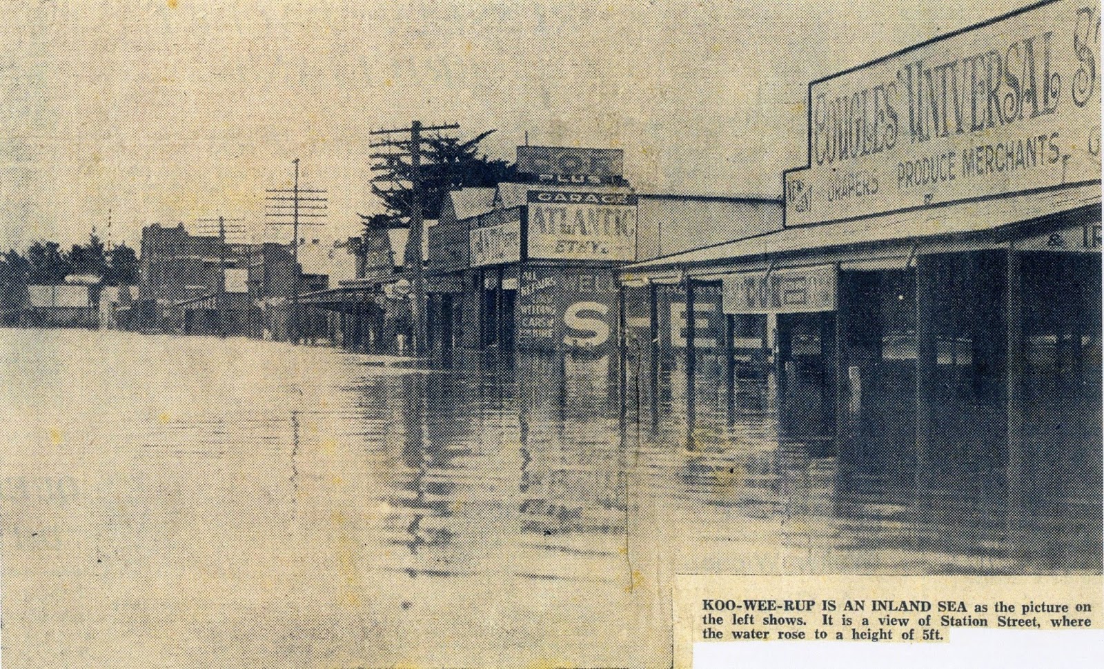 Koo Wee Rup Swamp History 1934 flood at Koo Wee Rup photos from The