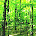 Forest, Ohio - Forest Ohio