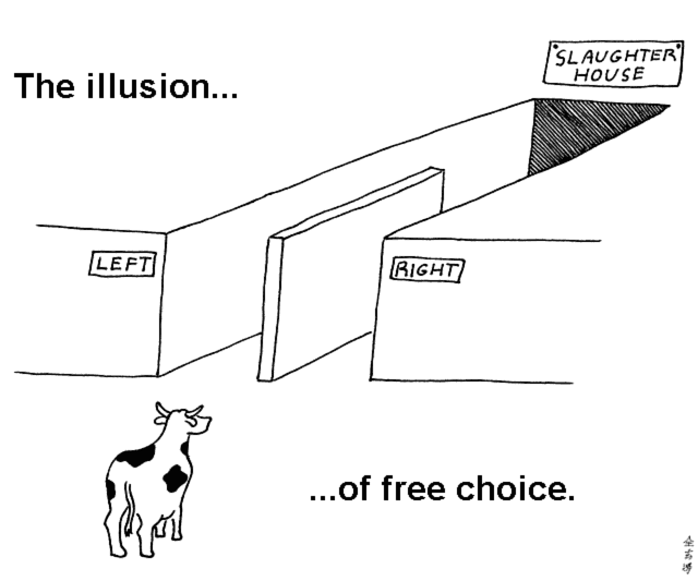 The illusion ... 
... of free choice.