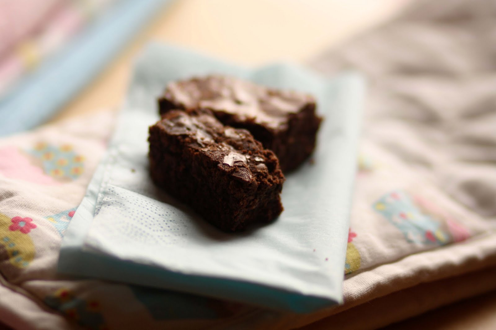 Spontaneous Euphoria Random Recipe 2 Brownies