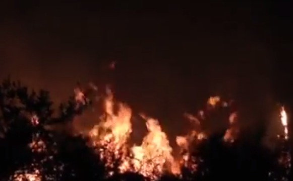 Περιοχή γνωριμιών του αχυρένιο κλαμπ