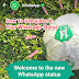 WhatsApp Status Mai Image Or Video Ko Kaise Lagaye or Use kare