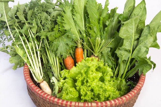 Mua rau củ quả an toàn tiêu chuẩn Gap, giao hàng tận nơi tai các địa chỉ sau Mua rau củ quả an toàn tiêu chuẩn Gap, giao hàng tận nơi tai các địa chỉ sau