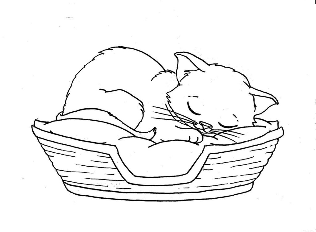 Sleep Cat Coloring Pages Best Coloring Pages For Kids