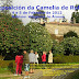 IV Exposición da Camelia en Rubiáns 4 y 5 Febrero 2012