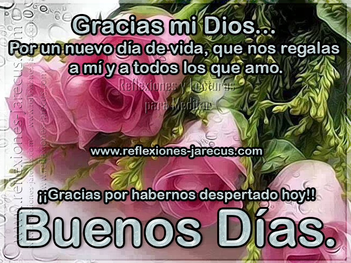 Gracias mi Dios por un nuevo día de vida, que nos regalas a mi y a todos los que amo. Gracias por habernos despertado hoy. Buenos días