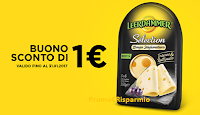 Buono sconto Fette Sélection Leerdammer: stampalo ora Logo Buono sconto Fette Sélection Leerdammer: stampalo ora