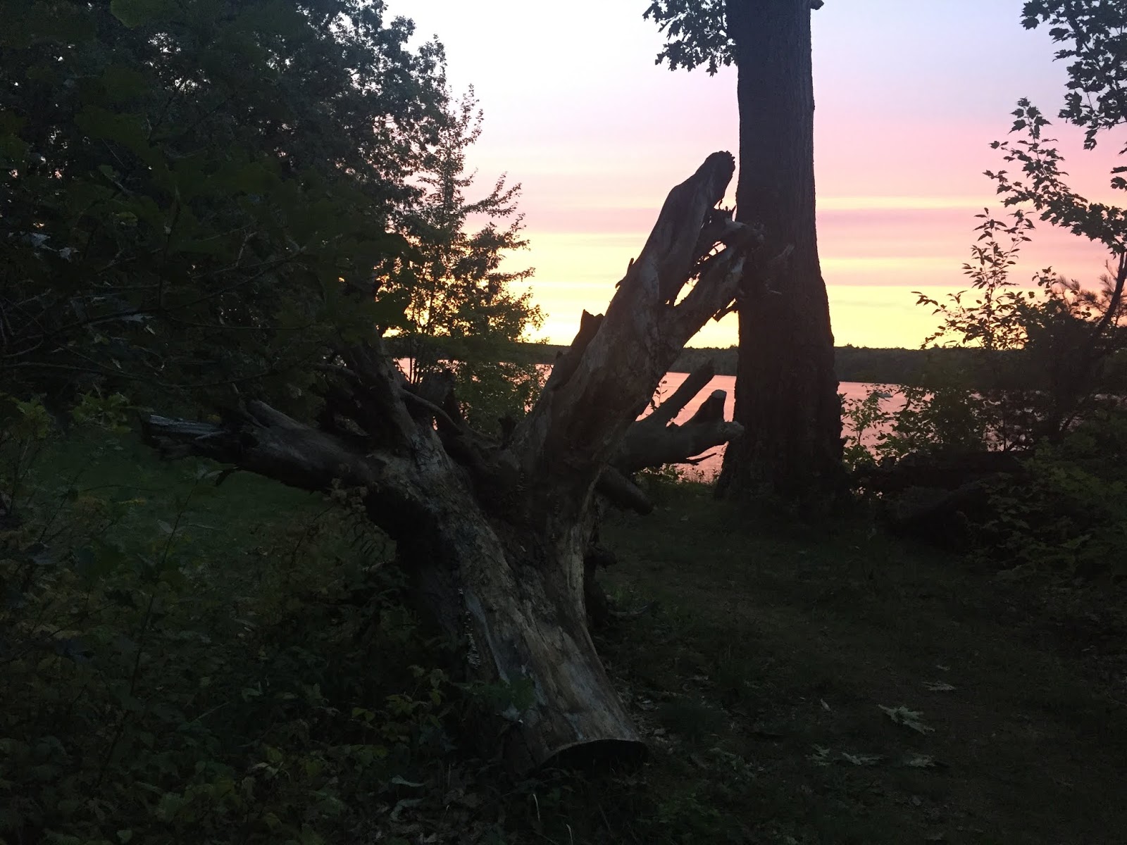 Travel Reviews & Information Newaygo, Michigan / State Park on Hardy