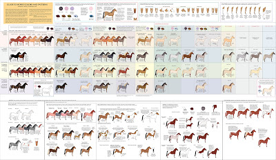 Horse To Colour In The Inevitable Spark The Science of Painting Horses