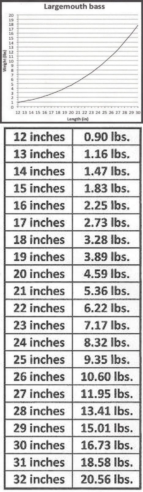 Largemouth Bass Standard Length-to-Weight Conversion Chart