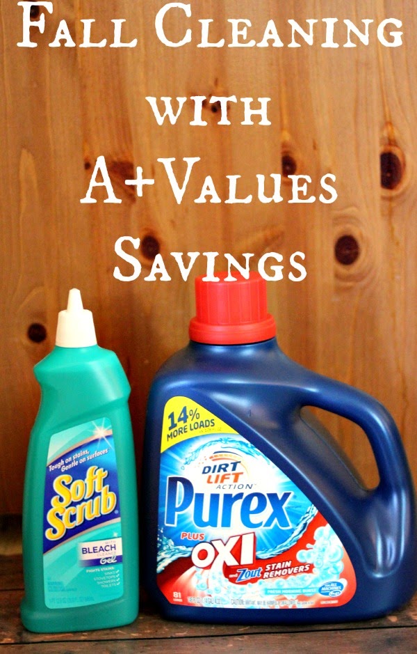 Fall Cleaning with A+ Values #APlusValues #Shop Fall Cleaning with A+ Values #APlusValues #Shop