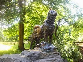Balto, One of the most visited statues by Central Park Pedicab Tours