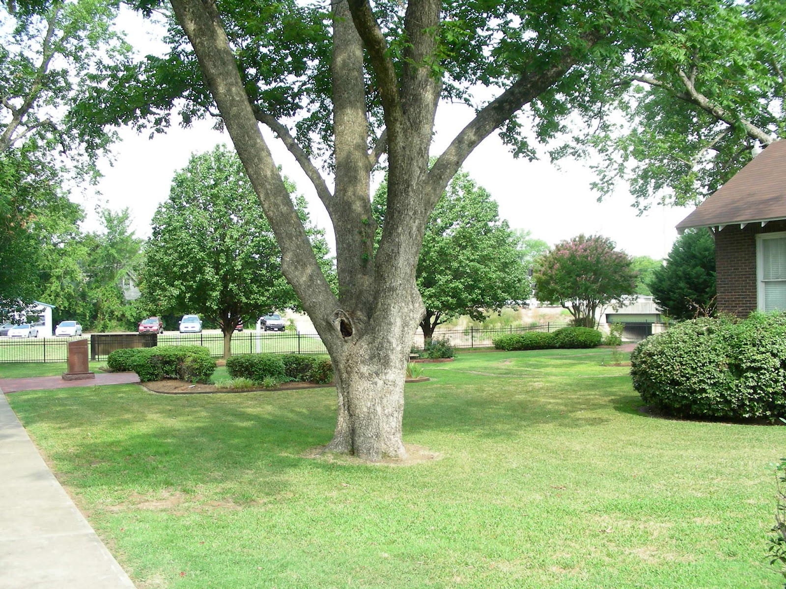 From Taiwan to Texas Life in MidAmerica Hope, Arkansas