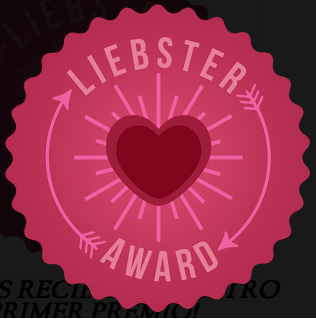 LIEBSTER AWARD 2013
