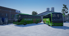Fernbus Simulator-ElAmigos pc español