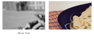 Blur with Grayscale Effect on hover the image using Css3 