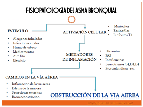 fisiopatologia asma bronquial