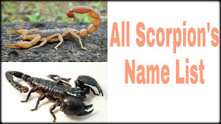 All scorpion species list (बिच्छु की प्रजातिया)