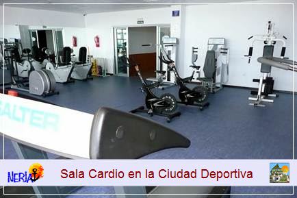 En la sala cardio podrá utilizar los aparatos encaminados al trabajo cardio-respiratorio, como son la bicicleta estática, la cinta sin fin, el remo, las máquinas elípticas, etc., previo pago de los precios públicos establecidos