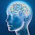 Descubren que nuestro cerebro se deshace de la "basura" mientras dormimos