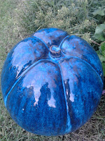 Pomme bleu odeflorales51