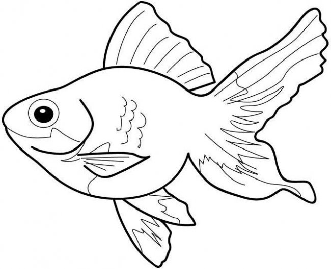 ocean fish coloring pages to download - photo #43