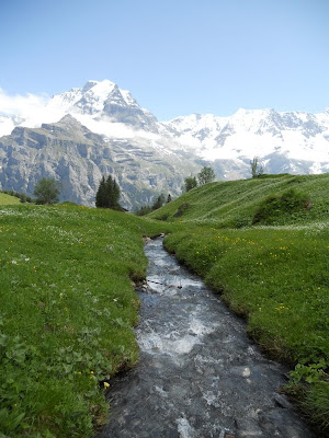 Burbling brook on the North Face Trail Murren