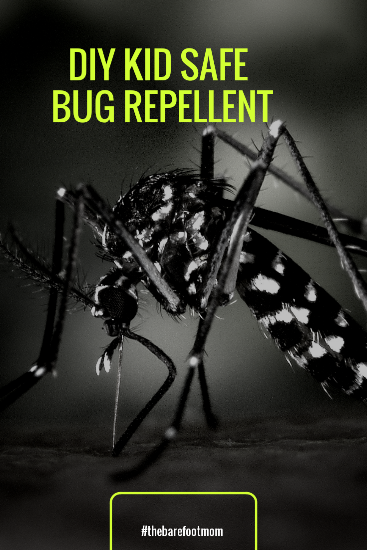 DIY Kid Safe Bug Repellent