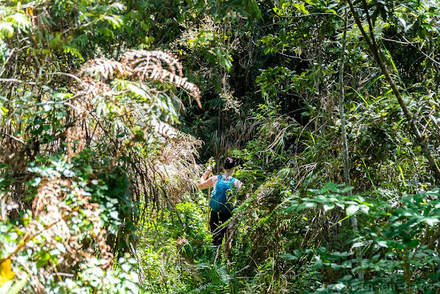 Jungle-Trek-Banaue-Pula-Patyay-Philippines