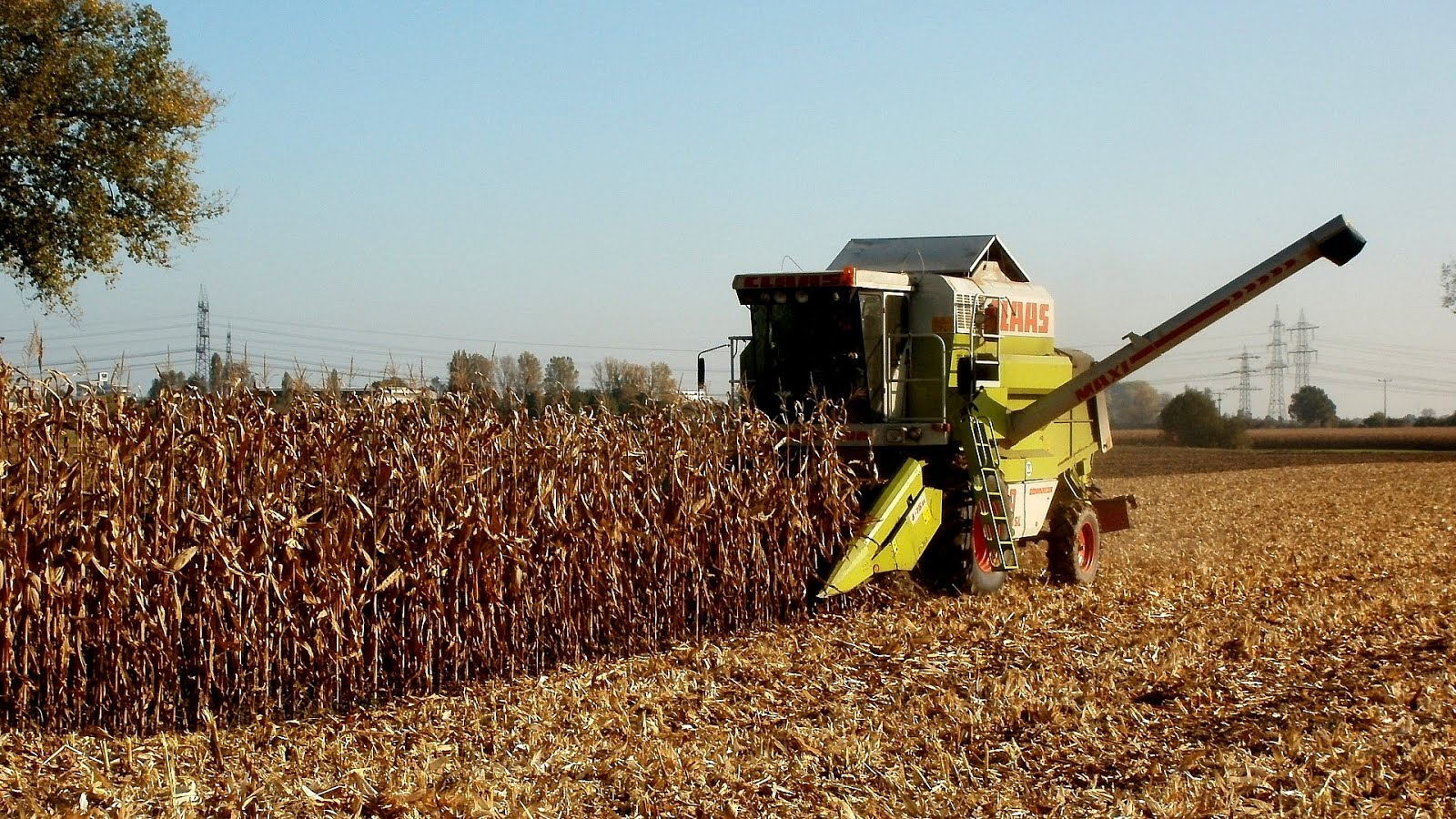 Harvest Vegetable Harvesting Equipment Vege Choices