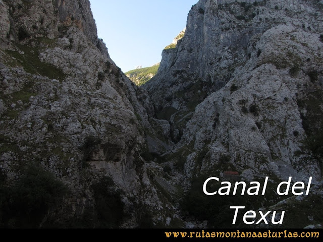 Ruta Poncebos a Cabrones por Camburero y Urriellu: Canal del Texu