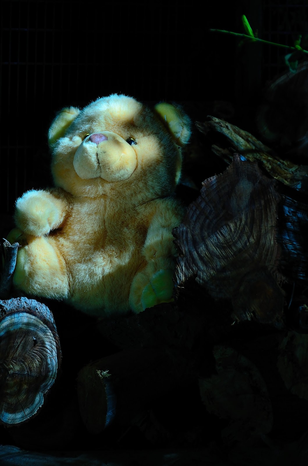 GALLINA_36085.JPG