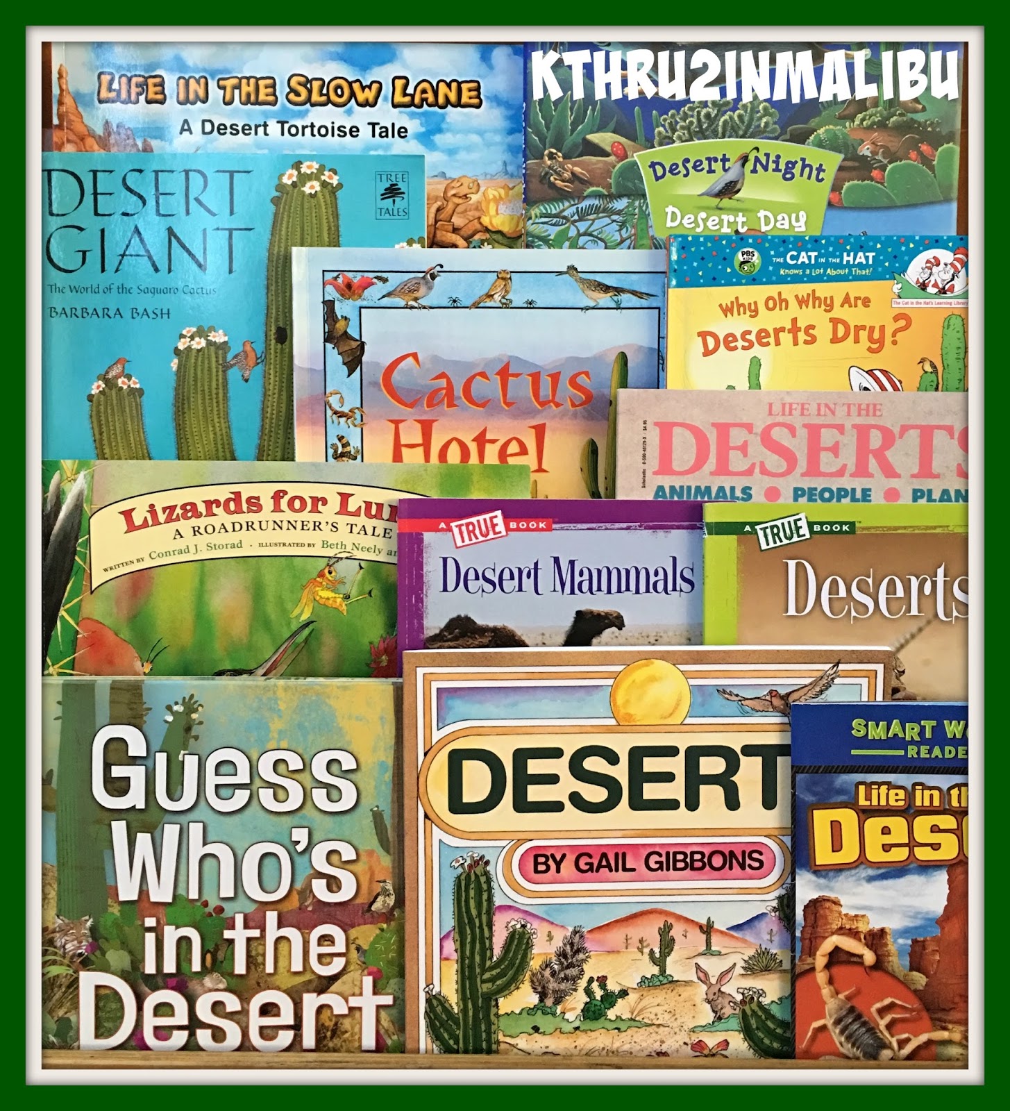 Malibu MuttsKthru2inMalibu Our Desert Unit is finally ready!