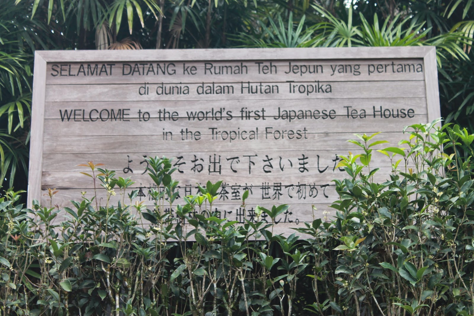 Taman Mini Jepun dan Taman Botani Bukit Tinggi Taman Mini Jepun dan Taman Botani Bukit Tinggi