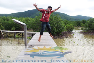 hutan mangrove karimunjawa