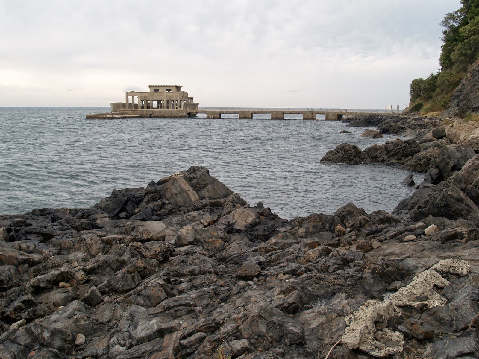 フォトギャラリー 「島旅年譜」 Traveling around isolated islands in Japan Ohzushima