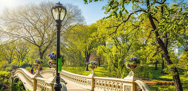 Khóa học tiếng Anh hè ngắn hạn tại Bridge English – ManhattanVille, New York - 4