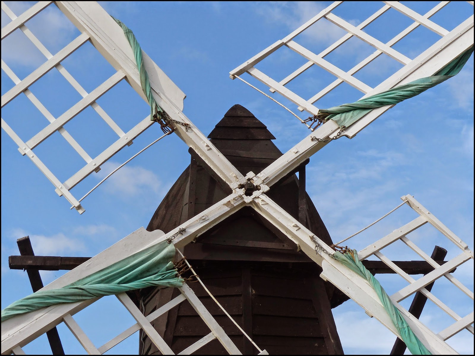 Wild and Wonderful Wicken Fen Nature Reserve Common Lizards