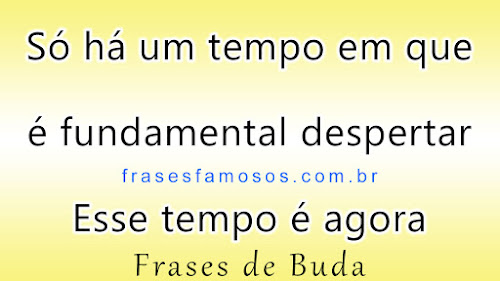 frases de Buda Só há um tempo em que é fundamental despertar. Esse tempo é agora