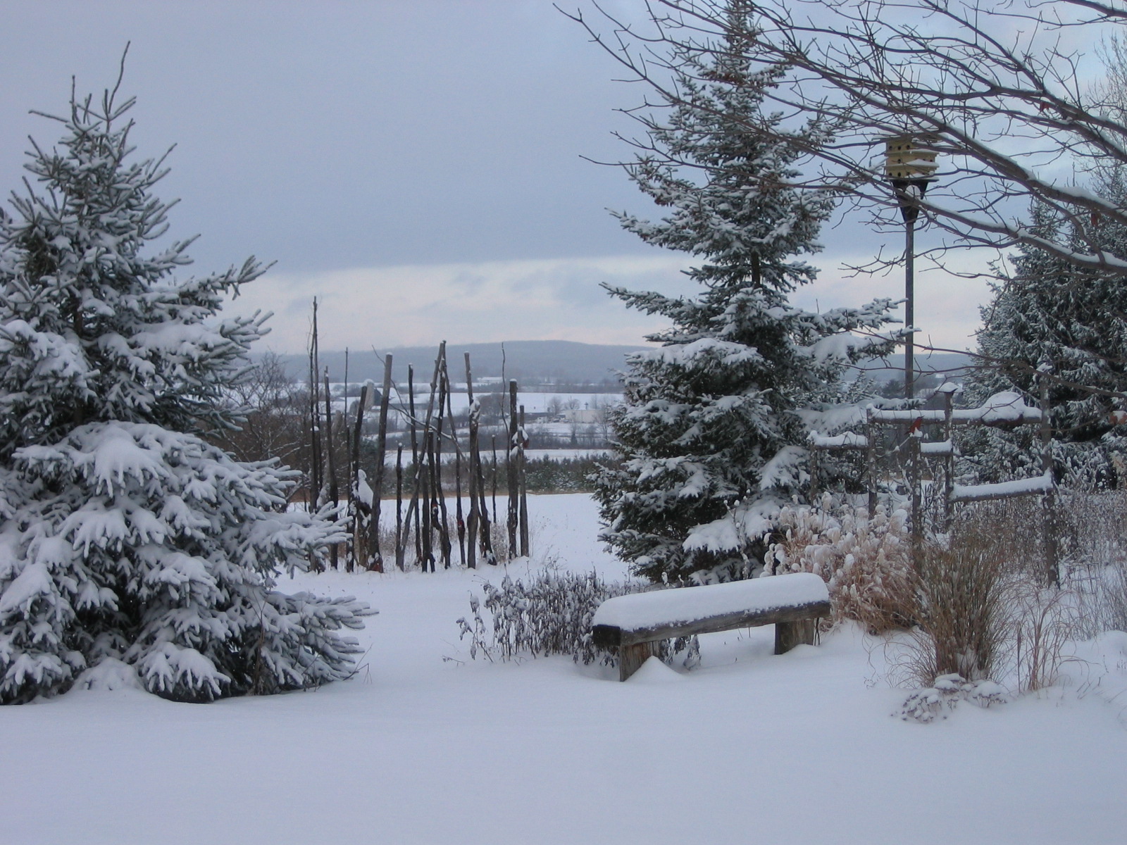 House Exchange 1858 Place Lafontaine, Ontario The House and Gardens