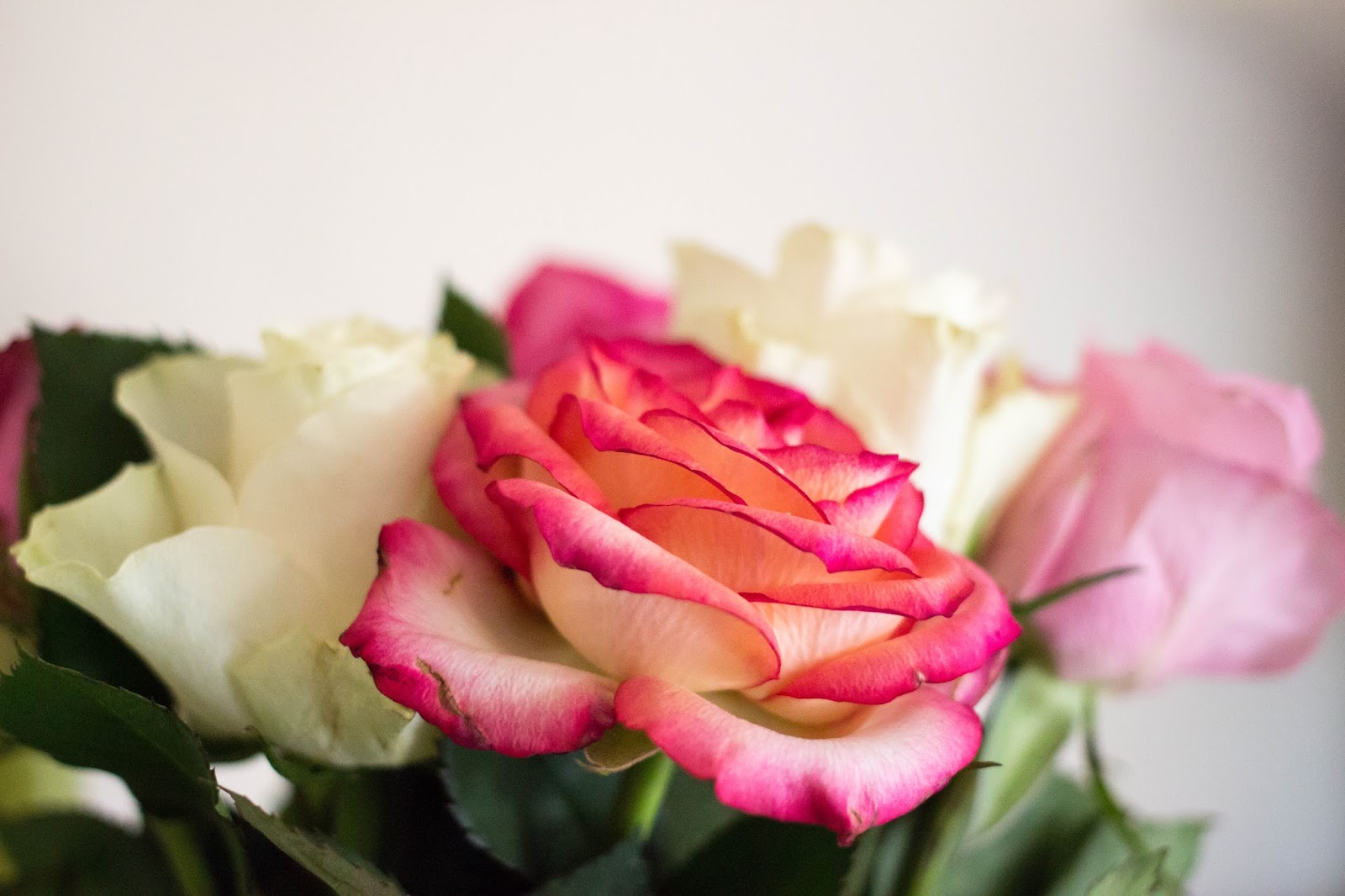 ©Katiewrites.co.uk What 2016 Taught Me, Lessons of 2016, 2016, Katie Writes,