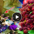 BEWARE: Eating too much of this fruit in an empty stomach could be deadly!