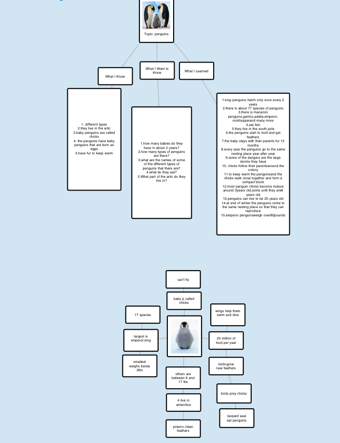 iPads in the Classroom: Popplet App in the ELA Class