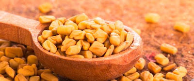 فوائد و أضرار الحلبة 2 tbl articles article 17434 445 فوائد و أضرار الحلبة