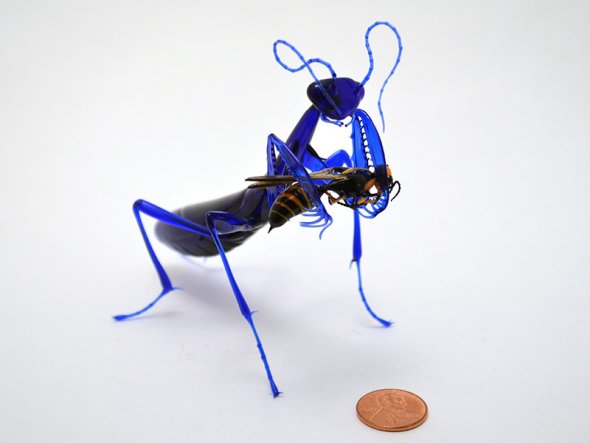 Wesley Fleming esculturas de vidro insetos natureza tamanho pequenos anatomia natural