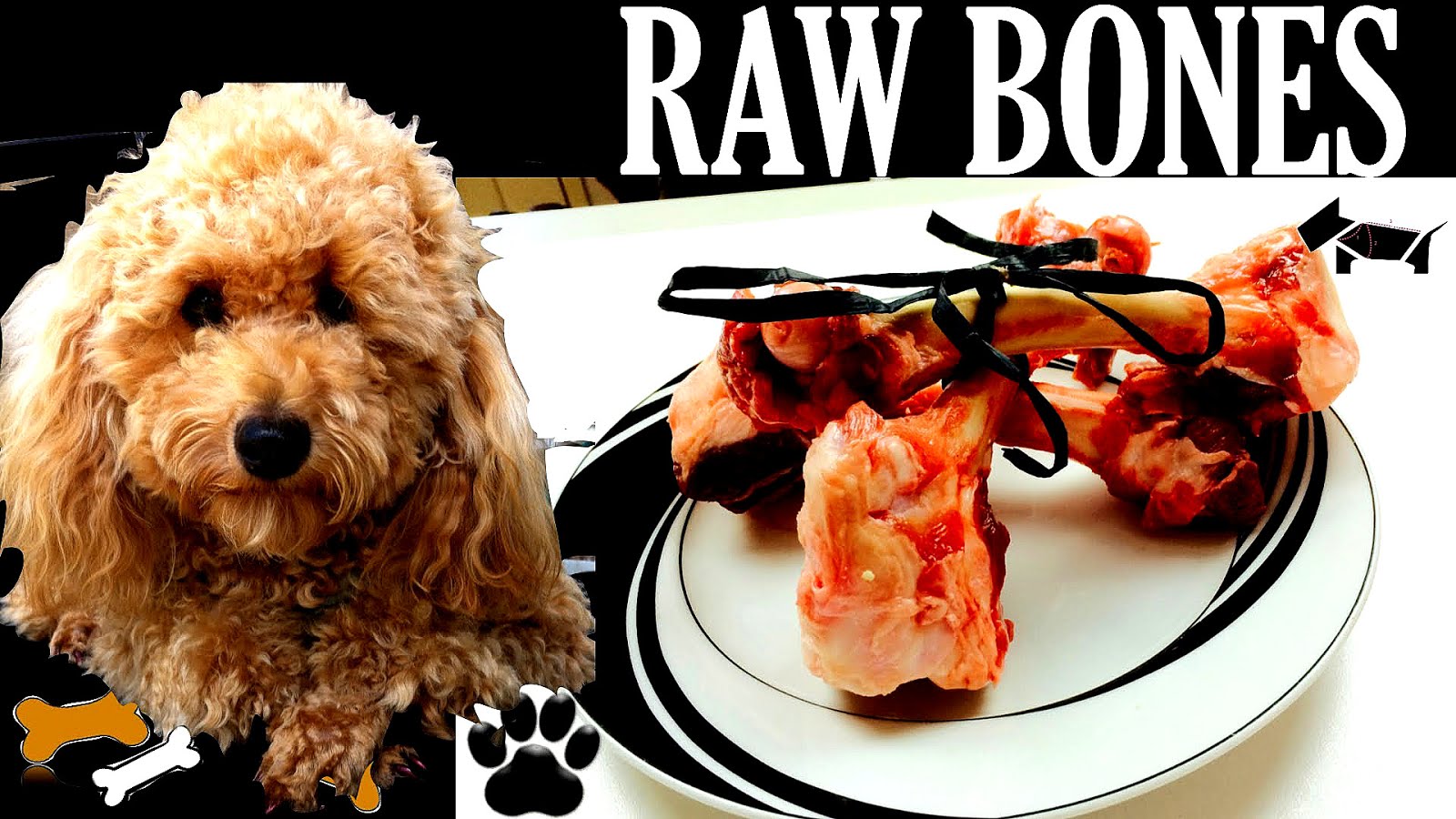 Marrow Bones For Dogs Raw Or Cooked Dog Choices