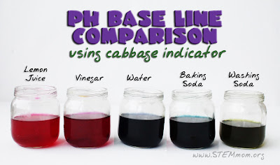 pH Baseline comparison using cabbage indicator pH Baseline comparison using cabbage indicator