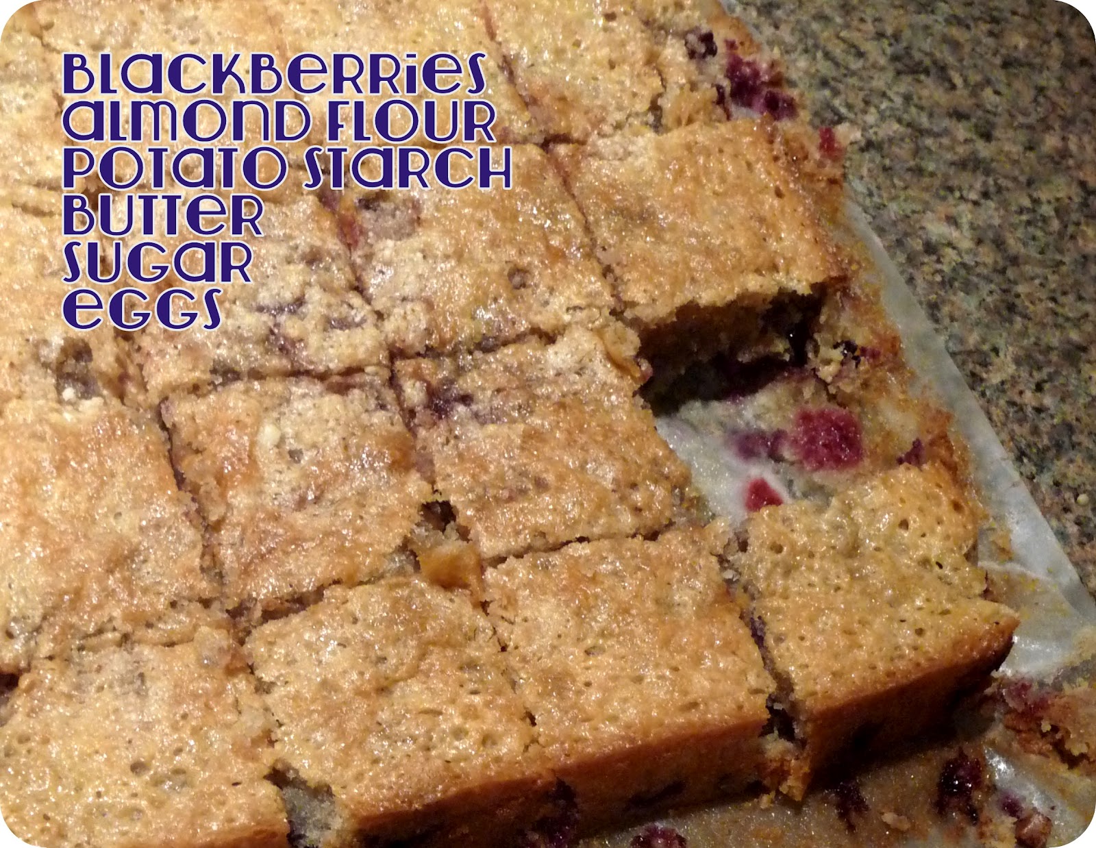 Wild Veg Blackberry Pie Bars (GlutenFree)